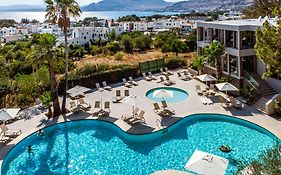 White Olive Premium Lindos